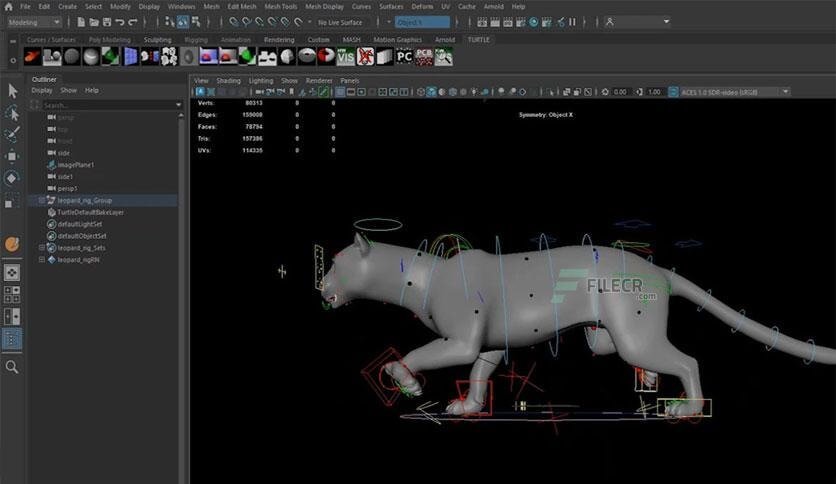 Autodesk Maya 2024 İndir - Tam türkçe