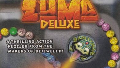 Zuma Deluxe İndir Full v1.0 Türkçe PC