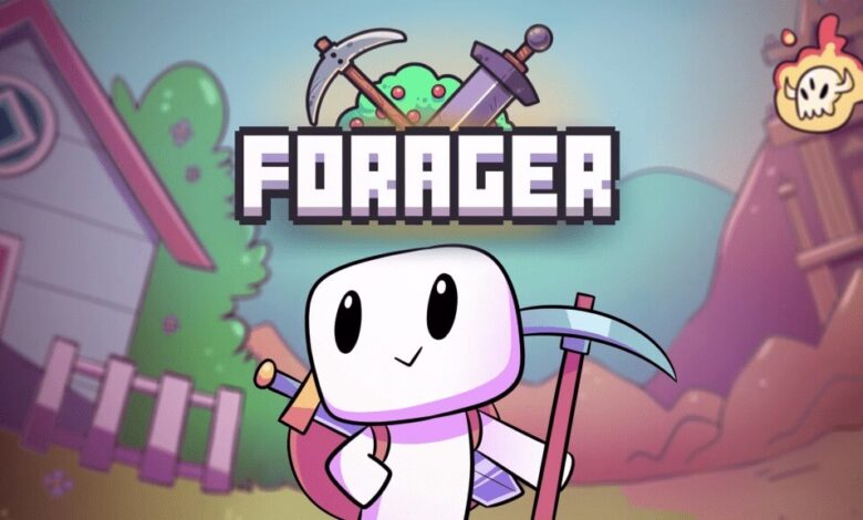 Forager İndir full v4.1.8 Türkçe PC